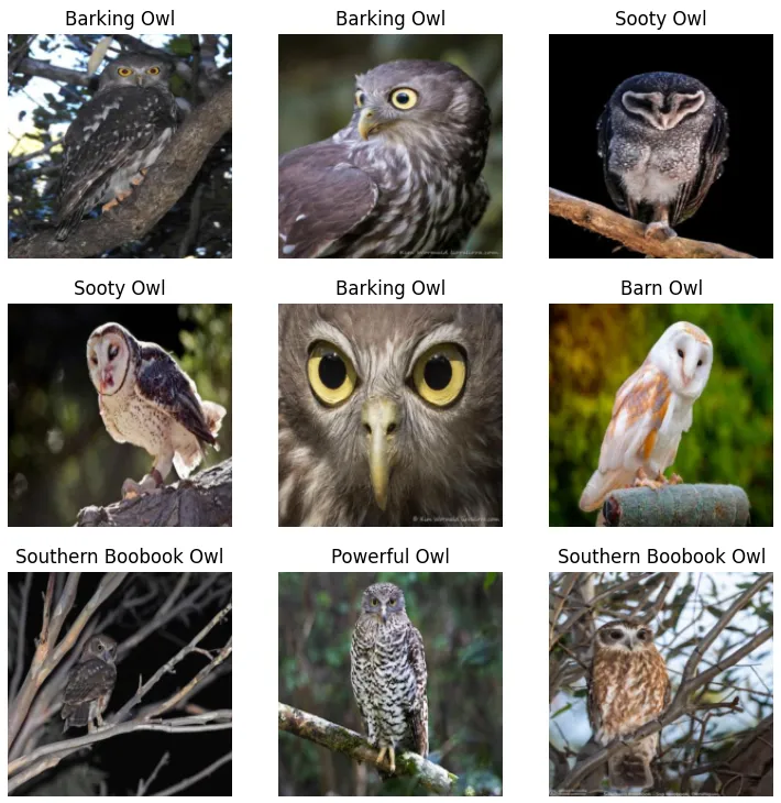 Training results with small dataset